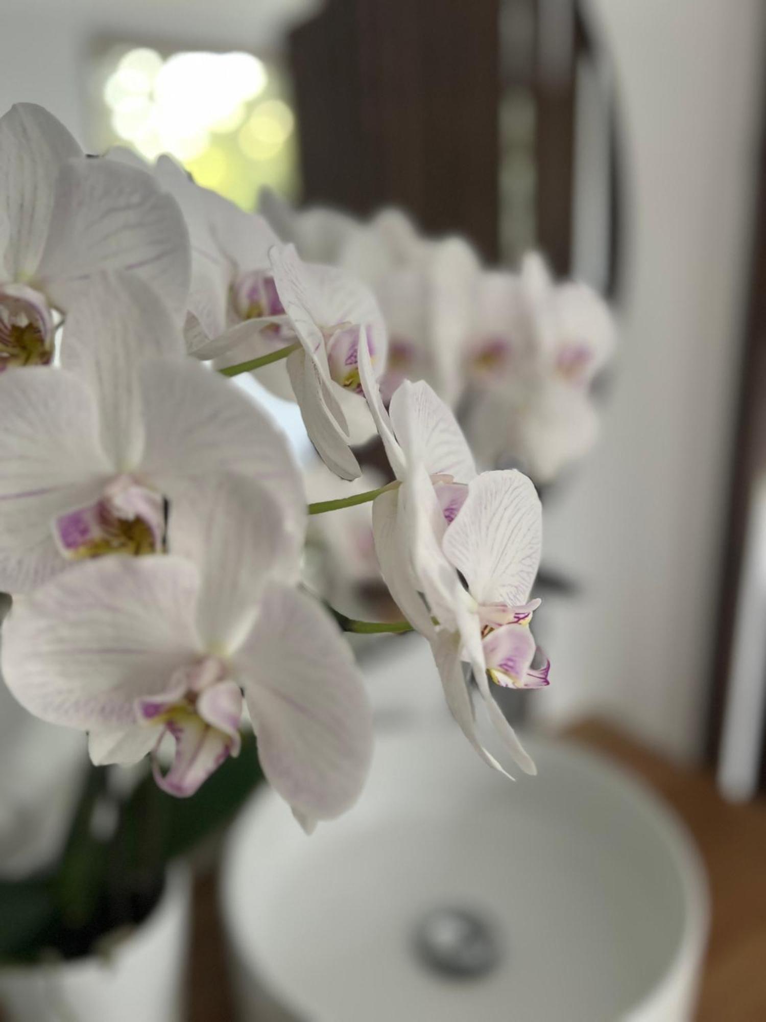 La Canopee Private Ecolodges Nimes Ngoại thất bức ảnh